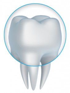 Dental Crowns and Bridges - Dr. Edward A. Borio, DDS